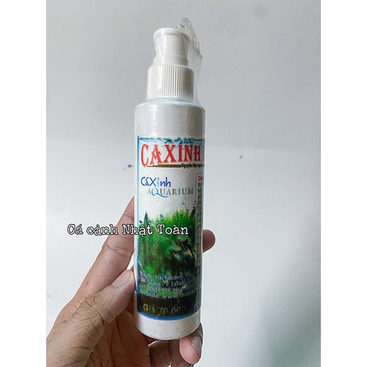 CUNG CẤP KHOÁNG CHẤT CHO HỒ CÁ THỦY SINH CÁ XINH AQUARIUM