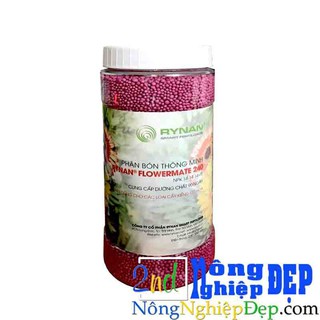 Combo 5 hũ Phân Tan Chậm Rynan 1kg25 (5 chỉ số)