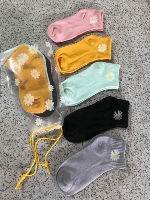 Set 10 tất hoa cúc cổ ngắn