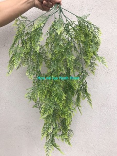 Bụi rủ lá leo dương xỉ - cây giả