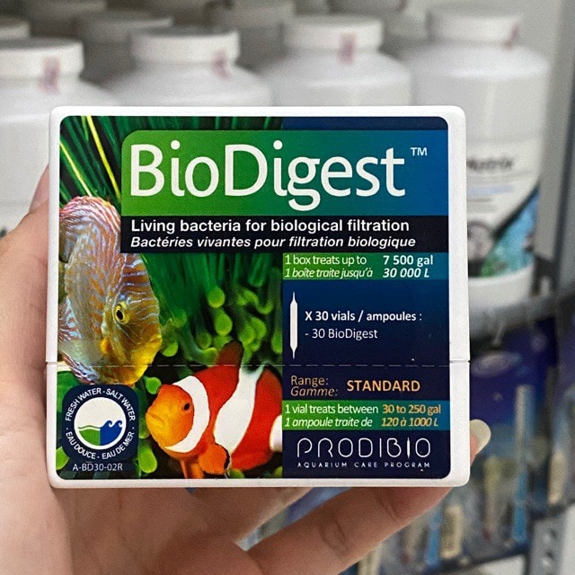 VI SINH SỐNG XỬ LÝ NƯỚC PRODIBIO BIO DIGEST LÀM TRONG NƯỚC BỂ CÁ TÉP ...