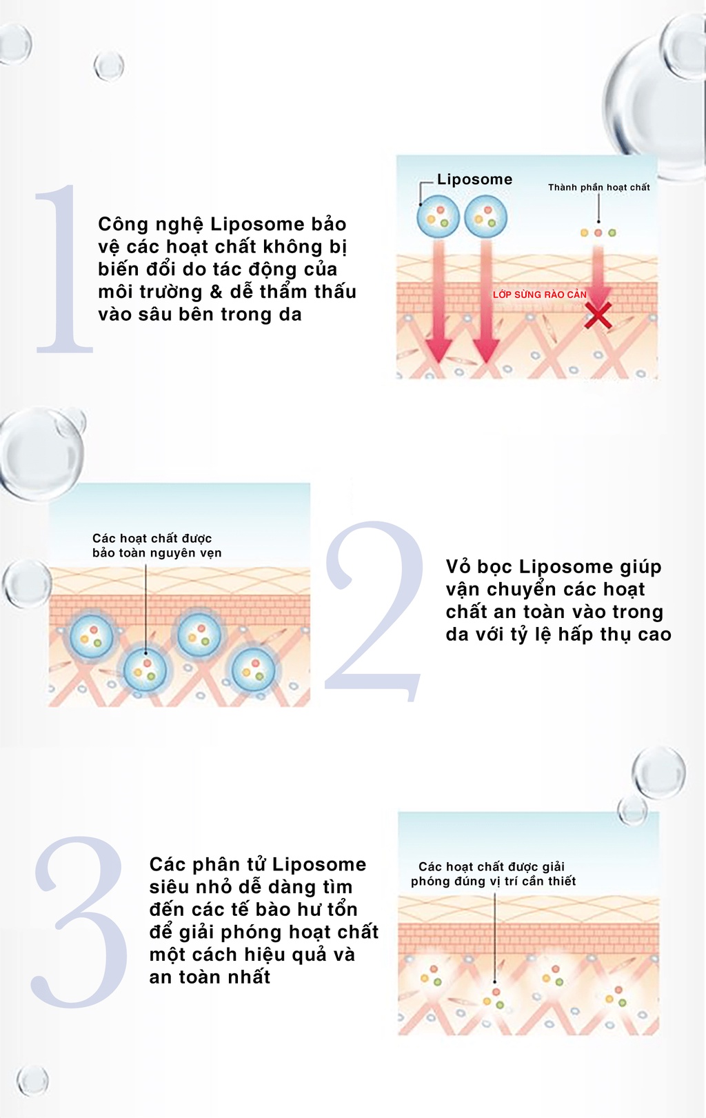 Mô tả Kem Dưỡng Trắng Da Cấp Ẩm Đa Tầng Angel's Liquid 7 Day Whitening Program Glutathione 700 V-Cream 50ml - 2