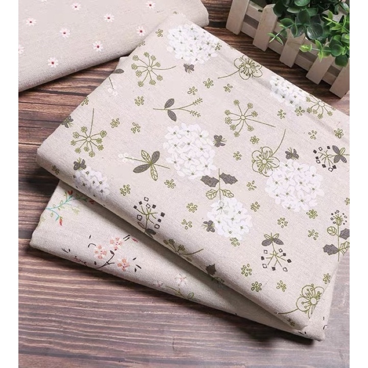 Cẩm tú cầu