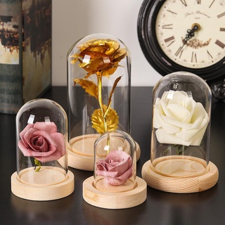 NOOKSTORY Bụi Đèn Cổ Tích Terrarium Để Bàn Terrarium Chai Trong Suốt Bình Thủy Tinh Hoa Hộp Bảo Quản