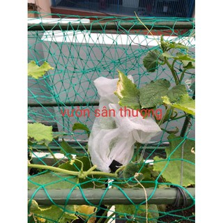 Lưới Trồng Cây (1 Mét), Làm Giàn, Dây Leo ,Khổ 2m, Cạnh 4x4 Cm