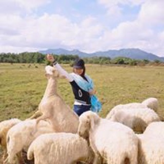 honghanh1982tayninh