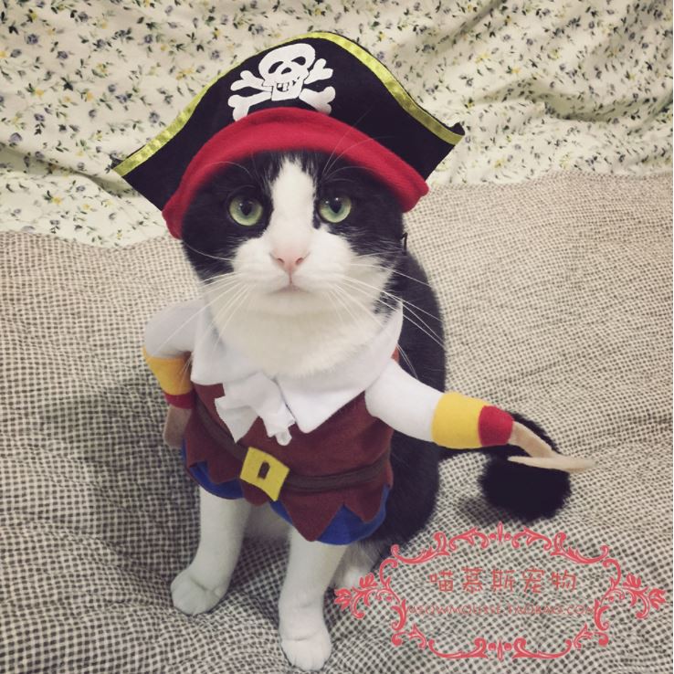 Quần Áo Cosplay Cho Chó Mèo (3 Loại) - Kiểu Dáng Dễ Thương Vui Nhộn ...