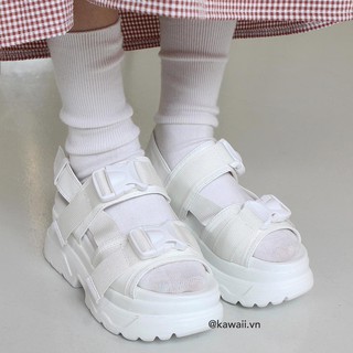 [Có sẵn size nam nữ] BUCKLE SANDALS - GIÀY SANDALS Phối Khoá Đế 6cm nhẹ như mây Kawaii Viet Nam