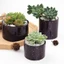 BTF Bình Hoa Đúc Khuôn Succulents Planter Nhựa Khuôn Thực Vật Pha Lê Epoxy Khuôn DIY Xà Phòng Khuôn