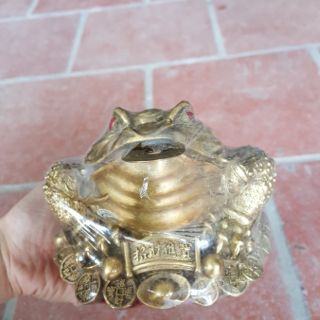 Cóc Ngậm Tiền 3 Chân Thờ Thần Tài Bằng Đồng Thau Nguyên Chất Cao 10cm