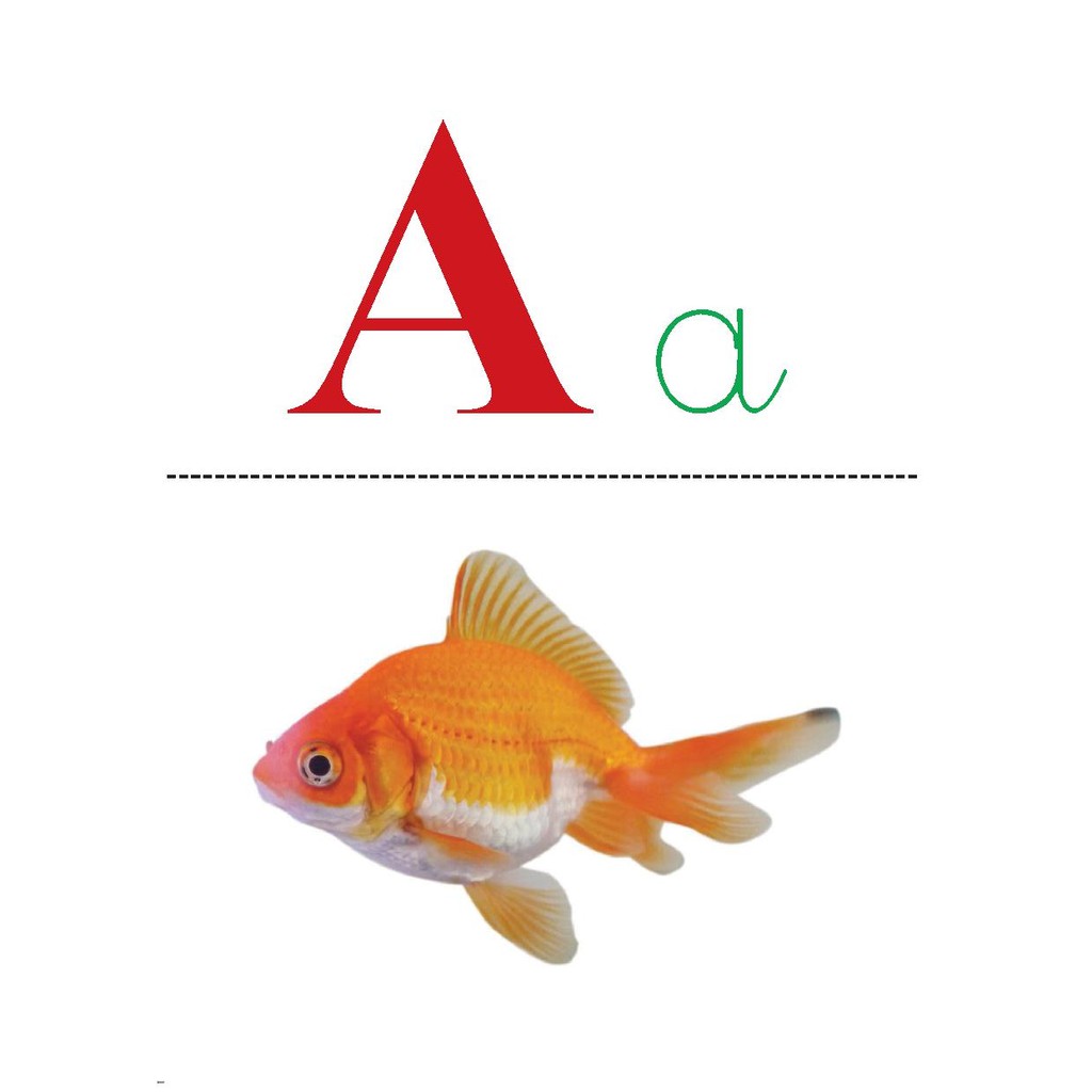 Flashcard - bảng chữ cái tiếng Việt đầu tiên cho bé - MCBooks