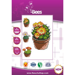 Bộ mẫu thêu chữ thập cây xương rồng