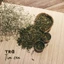 Trà Tim Sen giúp an thần, ngủ ngon - Trà Hoa The Tea Stories