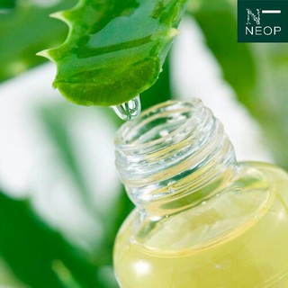 Chiết Xuất Nha Đam NEOP (Mexico) 100ml - Se Khít Lỗ Chân Lông - Aloe Vera Extract - 100% Natural