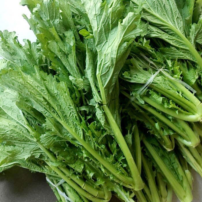 Hạt Giống Rau Cải Mèo🌱 Đặc Sản Vùng Cao, Ăn Ngon Rất Dễ Trồng