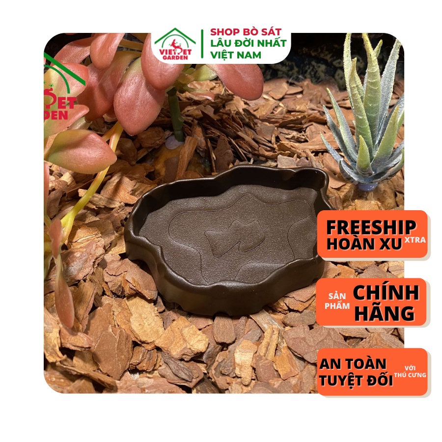 Máng ăn, máng nước màu nâu chuyên dụng cho bò sát | Nomoy | Vietpetgarden