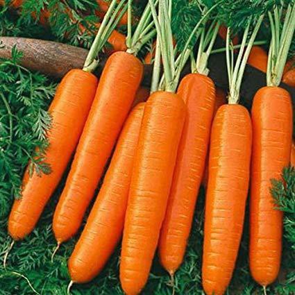 Hạt giống cà rốt ta Hóa Nông 2gr | Shopee Việt Nam