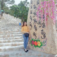 thaohue9518