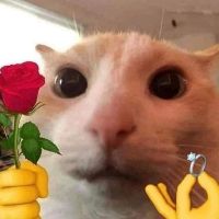 luutustus