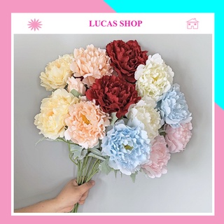 Combo 10 cành hoa giả - Hoa mẫu đơn Lucas 70cm trang trí đẹp, giống thật