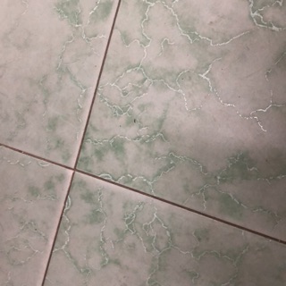 aihuynhhuynh