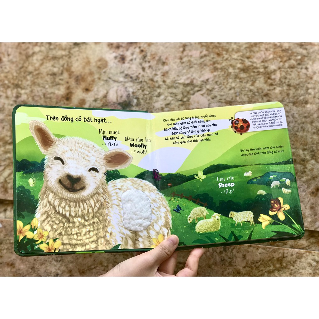 Ảnh Sách Sờ chạm khám phá - Thế giới động vật - Một ngày giữa thiên nhiên 2