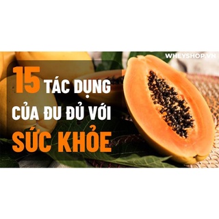 ĐU ĐỦ VÀ NHỮNG TÁC DỤNG ĐẾN BỆNH LÝ UNG THƯ