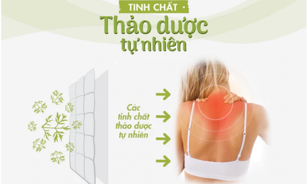 Mô tả Gối Ngải Cứu Hapaku Chườm Nóng Giảm Đau Cổ Vai Gáy, Lưng Bụng - Dùng Lò Vi Sóng - 1