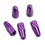 5 pcs MTB Track Bike Tube Tyre Tire Wheel FV French for Cap