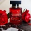 Nước Hoa Do.lce & G.abba.na The Only One 2 EDP