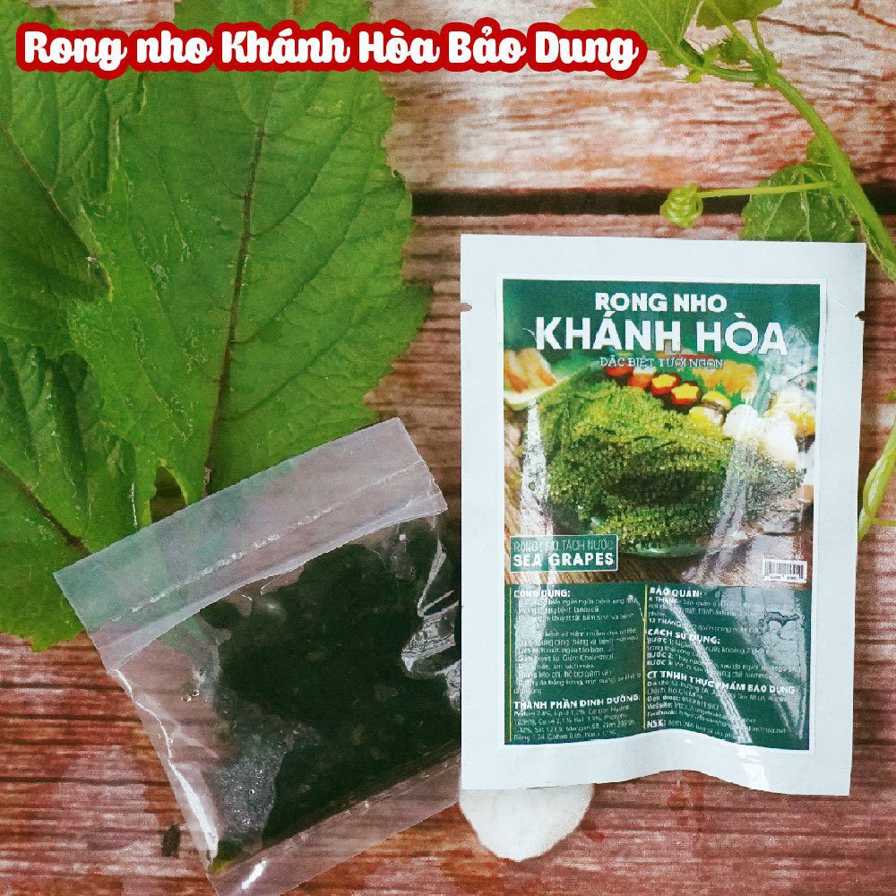 Rong Nho Khánh Hòa: Tiềm Năng và Lợi Ích