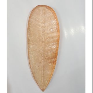 GÂN POLY LÀM LÁ HOA SỨ