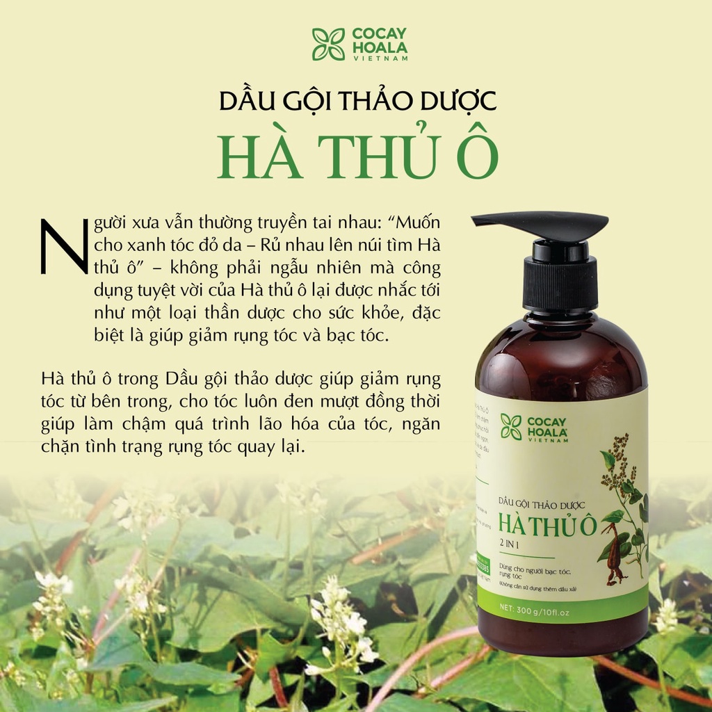Mô tả Dầu Gội Thảo Dược Hà Thủ Ô 2in1 Cỏ Cây Hoa Lá 300g - Giảm Gãy Rụng, Dưỡng Tóc Chắc Kh - 1