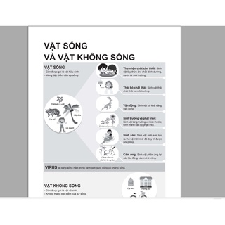 [Outlet S2] Sách - Phát triển năng lực Khoa học tự nhiên 6 - Tập 1 (Classic) | WinBook