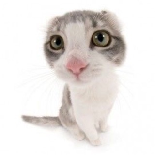 huyen_js07