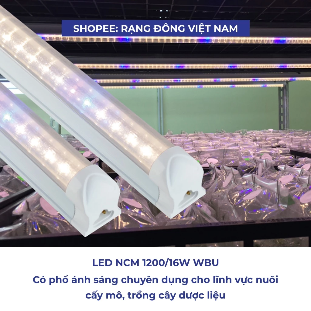 Đèn Led trồng cây Rạng Đông