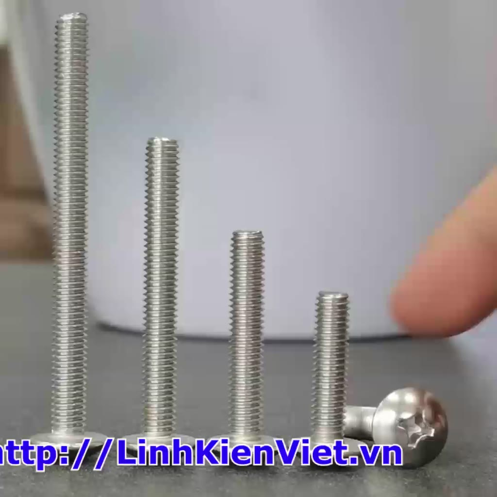 10 con Vít inox 304 ốc 4 cạnh đầu dù, vít pake đầu dù, đầu mo, đầu cầu ...