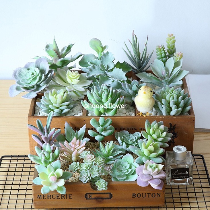 Cây sen đá giả cây xương rồng nhân tạo đủ size lớn đến mini dùng trang trí tiện lợi bền đẹp giống thật 100%