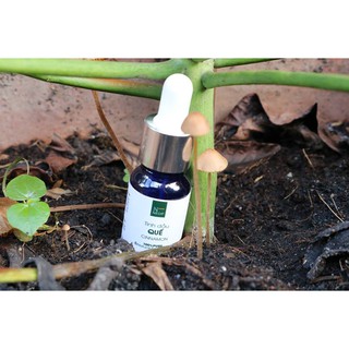 [FREESHIP TỪ 50K] Tinh Dầu Quế NEOP 10mL - Cinnamon Essential Oil