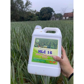 PHÂN BÓN HỮU CƠ CAO CẤP HLC 16 CAN 5L,PHÂN BÓN LÁ KÍCH MẦM, KÍCH CHỔI, DƯỠNG TRÁI