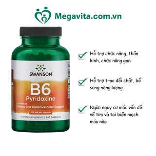 Viên Uống Bổ Sung Vitamin B6 Swanson Vitamin B6 Pyridoxine 100mg 250 ...