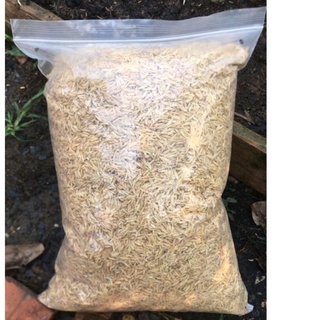 Vỏ trấu sống (1kg-làm xốp đất, thoát nước tốt)