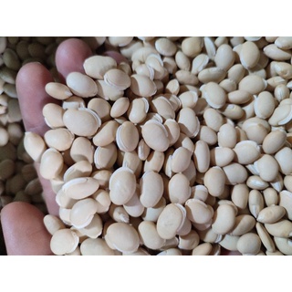 500gr Đậu ván nhà trồng hạt tròn đẹp