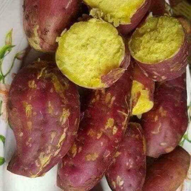 Khoai Lang Nhật .Vỏ Tím Ruột Vàng Nha Khach Oi .Số Lượng E Đóng Là 1Kg Trỏ  Lên A .Shop Cũ Hồng Trần 17 Nha .Ai Ăn Roi | Shopee Việt Nam