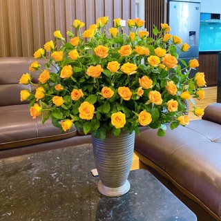 diep_nguyen579