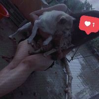 tamara_96