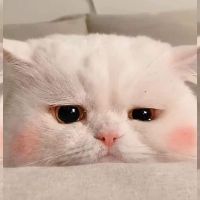 tranthiminhthu2311
