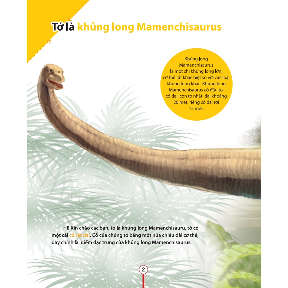 Ảnh Sách-Kiến thức về khủng long-Cổ khủng long Mamenchisaurus dài bao nhiêu?Cơ thể khủng long chứa đầy bí mật 3