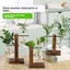 DELMER Chậu Hoa Bình Hoa Thủy Canh Cây Cưới Đảng Bình Thủy Tinh Terrarium Nhà Cây Cảnh Trang Trí