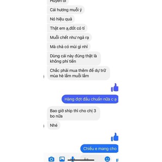 Combo 2 gói Nhang muỗi Mạnh Hiền làm sạch nhà cửa, ngăn ngừa muỗi